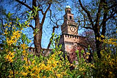 Milano, Castello Sforzesco